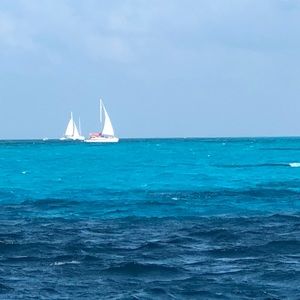 Meet your Posher, Ilsa